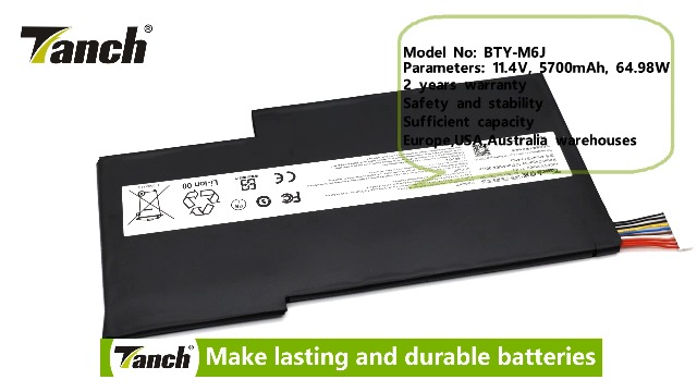 Amazon.com: Tanch BTY-M6J Laptop Battery for MSI WS63 WS63VR